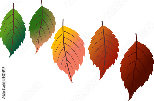 various autumn leaves. Vector illustration realistic autumn fallen leaves. Leaf cycle in red, yellow, and green colors. Autumn background.