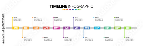 Timeline calendar infographic template 12 months, 1 year. Presentation elements with 12 options or steps.