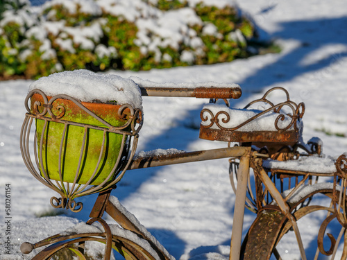 Winterzeit im Garten