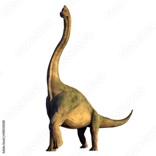Brachiosaurus altithorax from the Late Jurassic, isolated on transparent background 