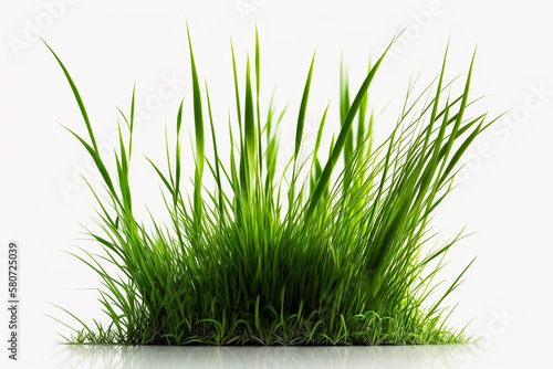 generative ai illustration of grass isolated against white background