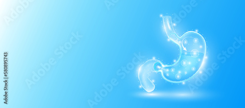 Human stomach anatomy form line triangles connecting on blue background. Futuristic glowing organ hologram translucent white and copy space for text. Medical anatomical concept. Modern design vector.