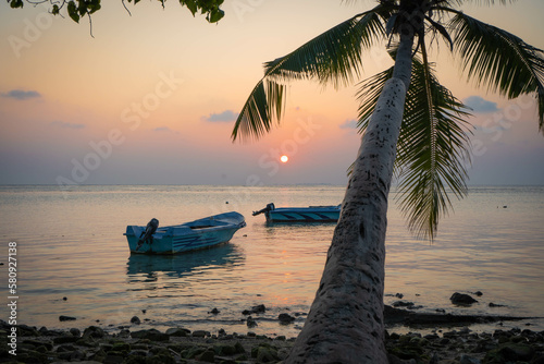 Beach landscape at sunset with two boats and a palm tree giving a deep sense of relaxation and calm