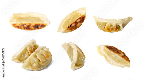 Gyoza Chinese Dumplings Isolated, Fried Vegetable Jiaozi, Chicken Momo Set, Asian Gyoza Collection