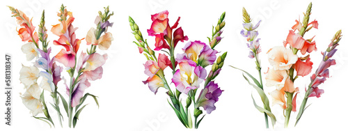 Watercolor Gladiolus Flowers. Generative AI