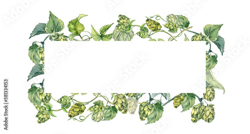 Frame of hop vine, plant humulus watercolor illustration isolated on white background. Steam with leaves hand drawn. Design element for advertising beer festival, label, packaging, banner, signboard.