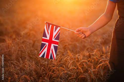 Small british flag in female hand at sunset in wheat field.