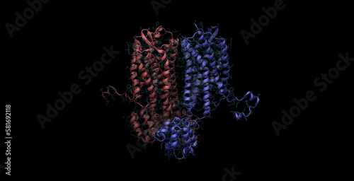 CXCR4 chemokine receptor, immune and cancer surveillance 3D molecule, 4K 