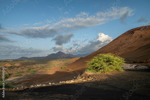 Volcanic countryside with stones, sand and bushes, The Ascension island