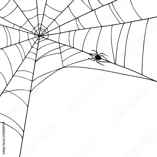 Linear sketch of a corner web with a spider.Vector graphics. 