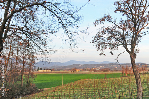 Franciacorta, vigneti e colline in primavera - Brescia