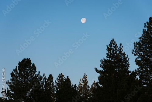 The Moon Above the Treeline at Lake Tahoe