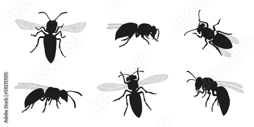 various wasp silhouettes