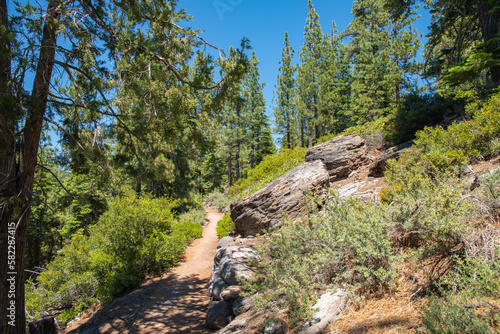 Tahoe trail