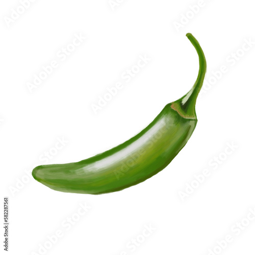 Serrano pepper oil painting illustration isolated on white background