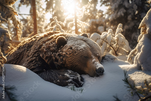 Bear covered with snow, hibernated for winter, sleeping in woods under trees, generative ai