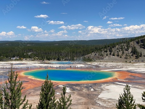 Gorgeous color for grand prismatic spring in Yellowstone National Park 