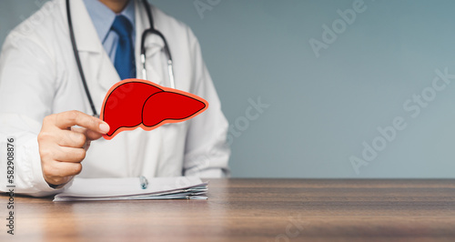 Doctor holding a liver shape symbol while sitting at the table in the hospital