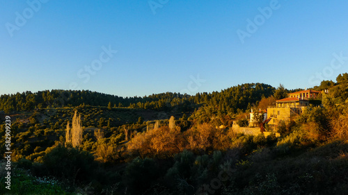 Golden Hour in a Village amidst Olive Groves