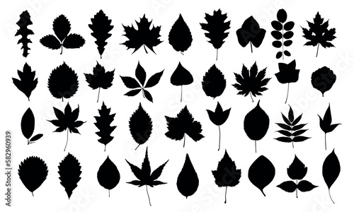 A set of silhouettes leaves of trees and shrubs. 