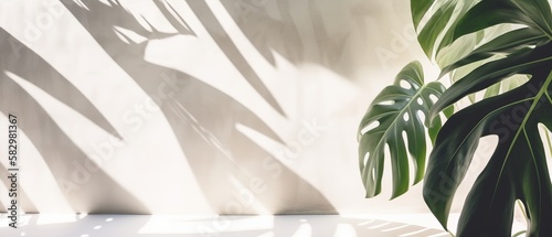 tropical leaf shadow, sunlight on cream white concrete texture wall, Generative AI