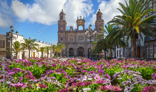 Die Kathedrale Santa Ana in Las Palmas in der Frühlingssonne mit prächtigen magentafarbenen Bornholmmargeriten als Vordergrundrahmen
