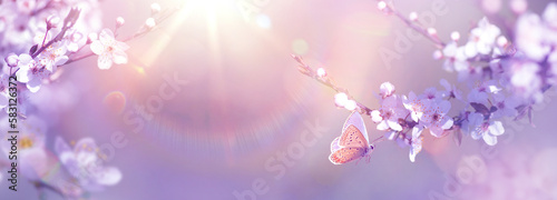 Art Panoramic Design of Flowering Cherry Branches and Fly Butterfly on a Sunny Spring Garden Background with copy space: Easter Springtime Concept