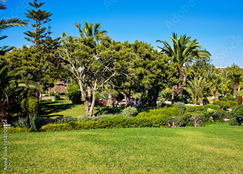 Garden in bright sunshine in Agadir, Morocco.