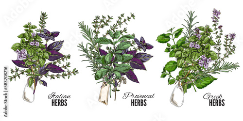 Set of hand drawn colorful bouquets of Italian, Greek and Provencal herbs sketch style