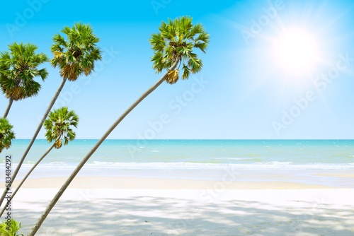 calm quiet summer sea beach wide ocean view with high palm trees tropical island blank space for advertising background