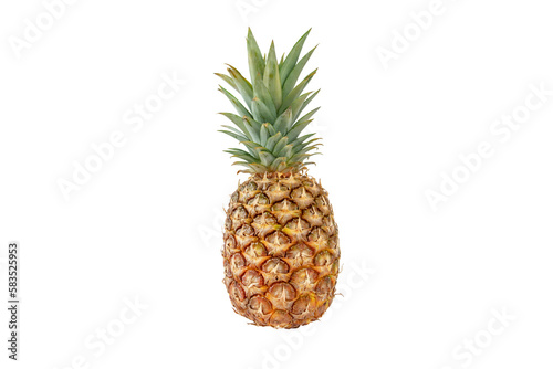 Pineapple tropical whole fruit isolated transparent png. Ripe Ananas comosus.