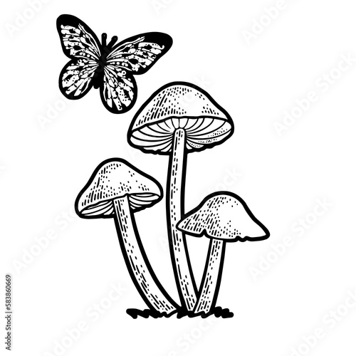 Mushrooms and butterfly line art sketch PNG illustration with transparent background