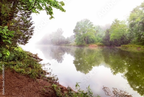Lake reflecting surrounding green trees on a foggy day in Beckley creek park in Louisville, Kentucky