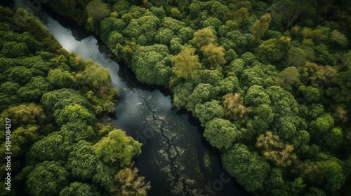 green forest with a river