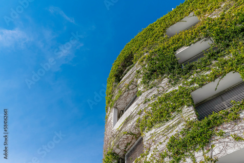 Multi-storey building wall covered with green vines in Miami, Florida. Low angle view of the curved corner of the building on the right under the blue skies background.
