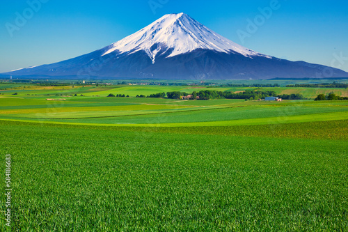 オーストリアの美しい田園風景と富士山合成