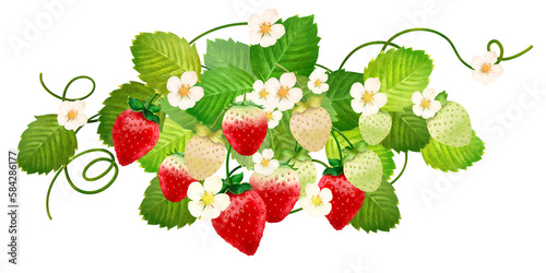 美味しそうなイチゴと葉っぱと花の吊り下がったかわいいフレームイラストセット素材