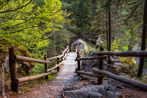 Wooden bridge over the Rutor waterfalls. Mountain view among trees roots rocks and fence in the forest. La Thuile. Pathway in the woods. Rutor glacier. Italian Alp in summer. Alps Italy. Aosta Valley