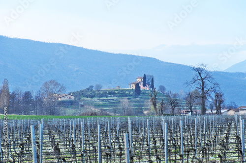 Franciacorta, vigneti e colline in primavera - Brescia 