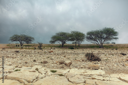 Salboukh valley in the winter