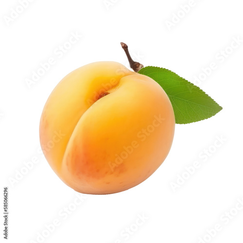 apricot fruit isolated on white