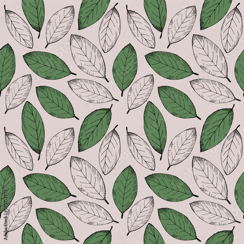 Seamless pattern with bay leaf. Repeating background with laurel leaves. Hand-drawn illustration. Design element. Vector