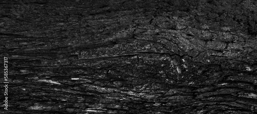 Czarna kora drewno szerokie tło