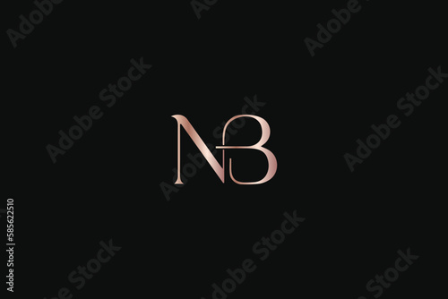 NB letter minimal with golden typography minimal brand logo design, nb elegant logo, nb luxury icon 