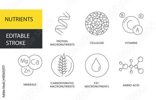 Nutrients vector line icon, illustration of protein and fiber, vitamins and minerals, carbohydrates and fats, amino acids and macronutrients. Editable stroke