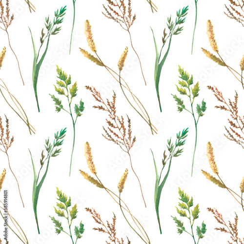 Watercolor seamless pattern with silhouettes of flowers and grass, drawing by watercolor, hand drawn floral illustration, isolated on white background, herbal ornament.
