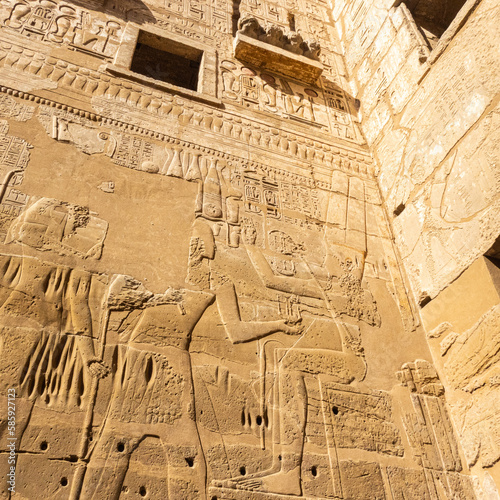 Egipto es un país fascinante lleno de historia, cultura y belleza natural. Desde las Grandes Pirámides de Guiza y la Esfinge hasta el Valle de los Reyes y el Templo de Karnak, 