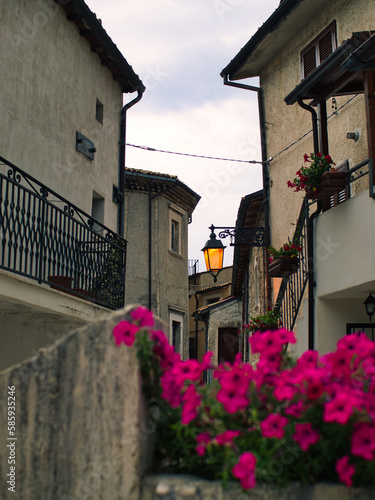 Fancy flower decorated narrow sunny street with stairs in old town in summer sunshine, Italy