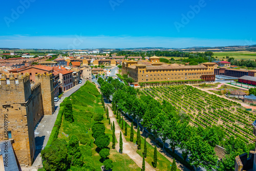 Vineyards at the convent of San Francisco at Olite, Spain