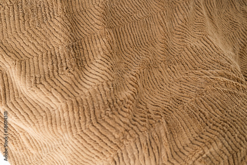 Textura de manta calentita de lana